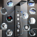 Cosmo Go Duschpaneel Wandduschpaneel 5 Funktionen Edelstahl Schwarz