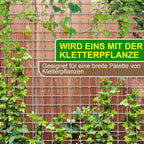 Cosmo Go Rankhilfe Edelstahl für Kletterpflanzen 12m
