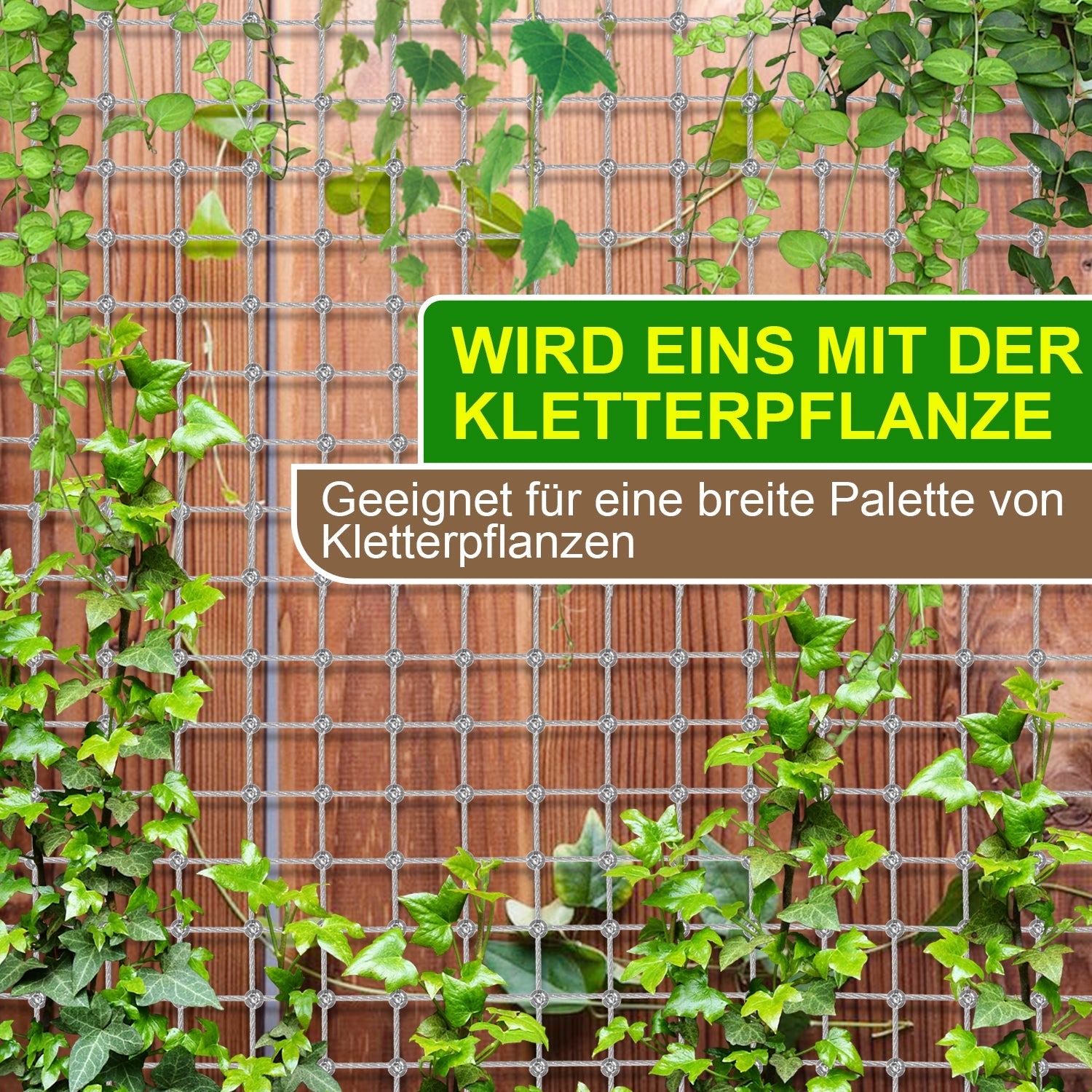 Cosmo Go Rankhilfe Edelstahl für Kletterpflanzen 12m