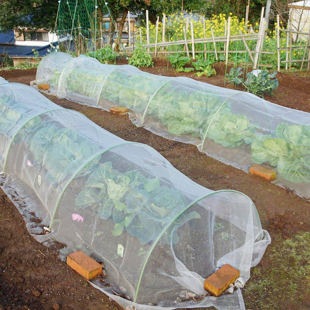 Cosmo Go Garteninsektennetz Pflanzenschutznetz 3x9m/3x10m