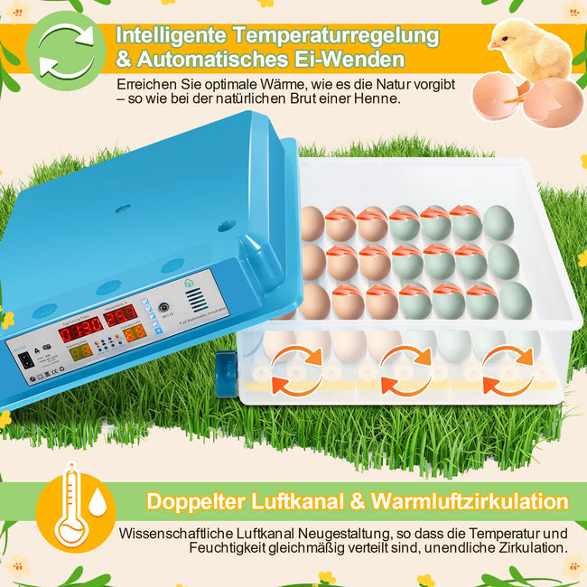 Cosmo Go Brutautomat Vollautomatisch Inkubator für Hühner 64 Eier Main Image
