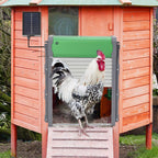 Cosmo Go Automatische Hühnerklappe Solar Rolltor mit Lichtsensor und Zeitsteuerung