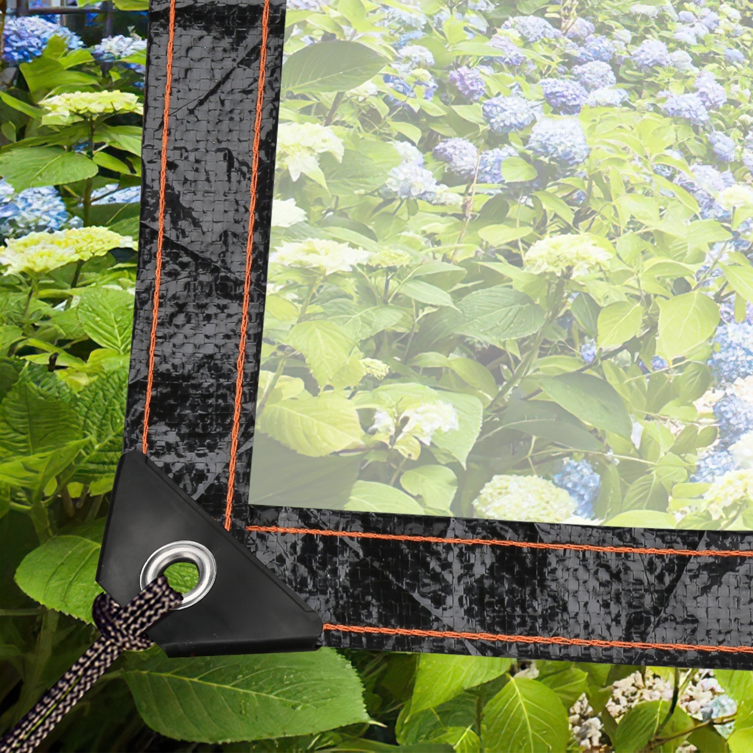 Cosmo Go Transparente Plane Wasserdichte mit ösen