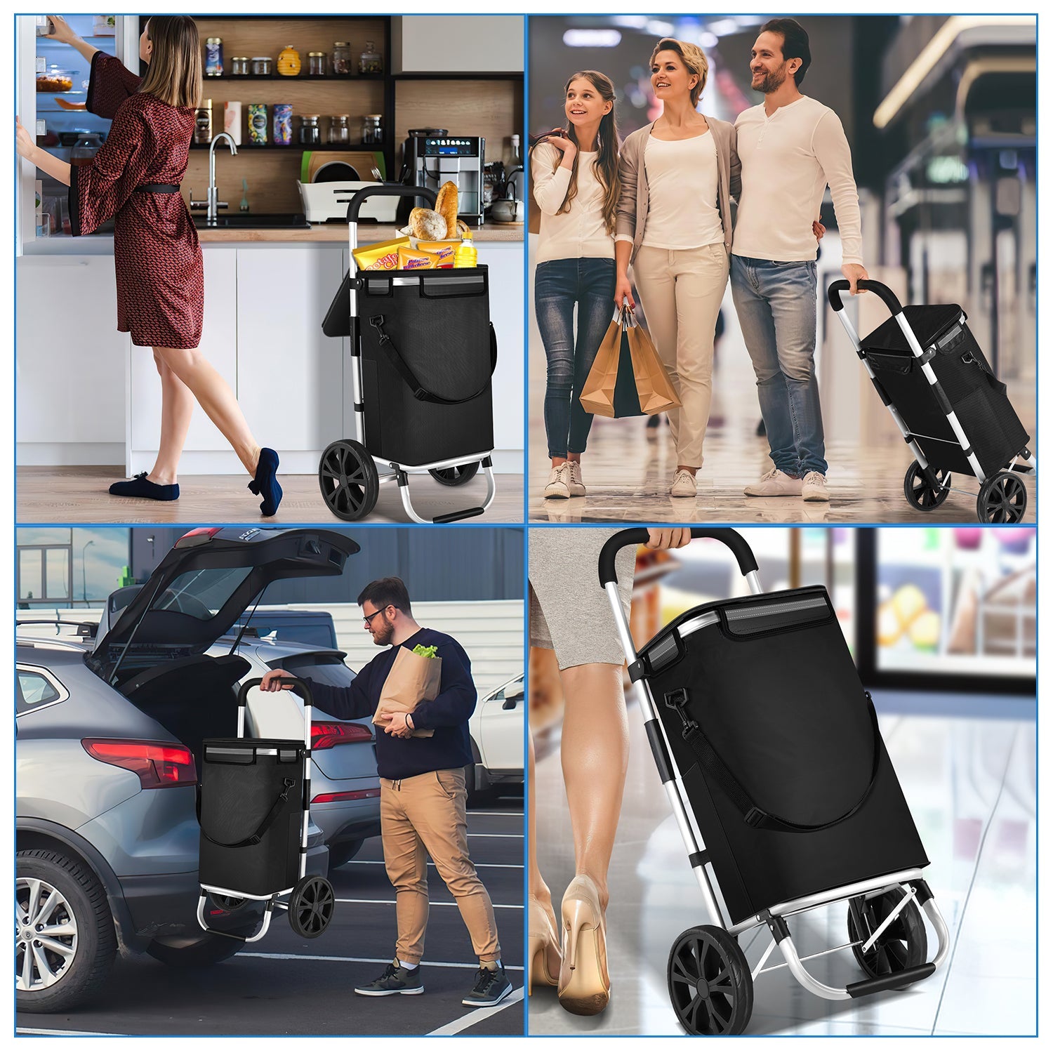 Cosmo Go Einkaufswagen Marktroller Thermo klappbar