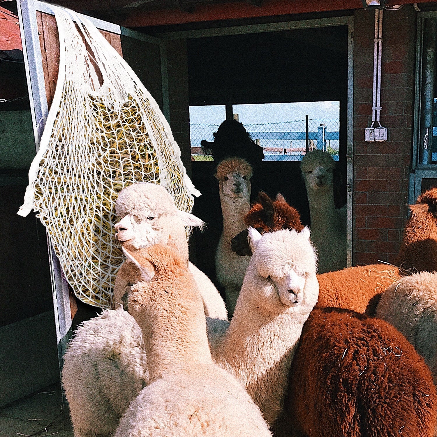 Cosmo Go Heunetz Heunetztasche Futternetz