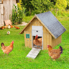 Cosmo Go Automatische Hühnertür Flüssigkristallanzeige mit Lichtsensor und Zeitsteuerung