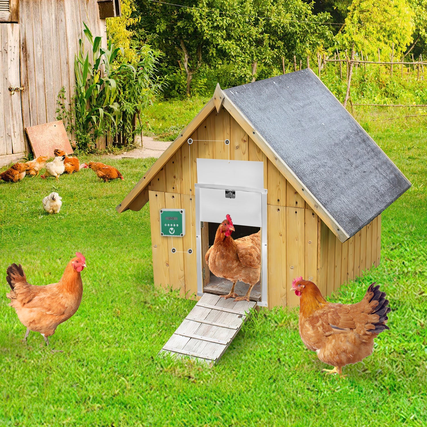 Cosmo Go Automatische Hühnertür Flüssigkristallanzeige mit Lichtsensor und Zeitsteuerung