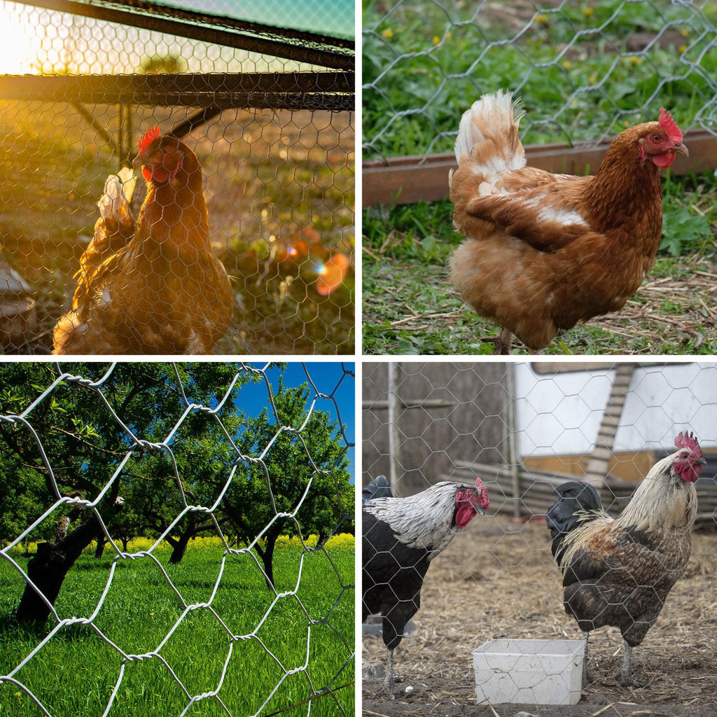 Cosmo Go Drahtzaun Metallgitterzaun Hasendraht Verzinkter