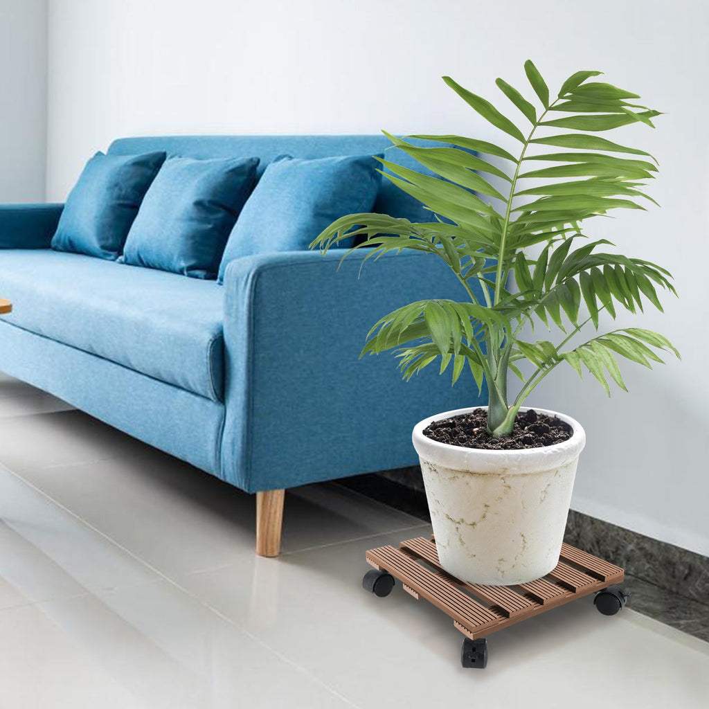 Cosmo Go WPC Pflanzenroller Eckig mit Rollen Tragkraft 80 kg