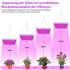 Cosmo Go Pflanzenlampe Vollspektrum 15W/45W