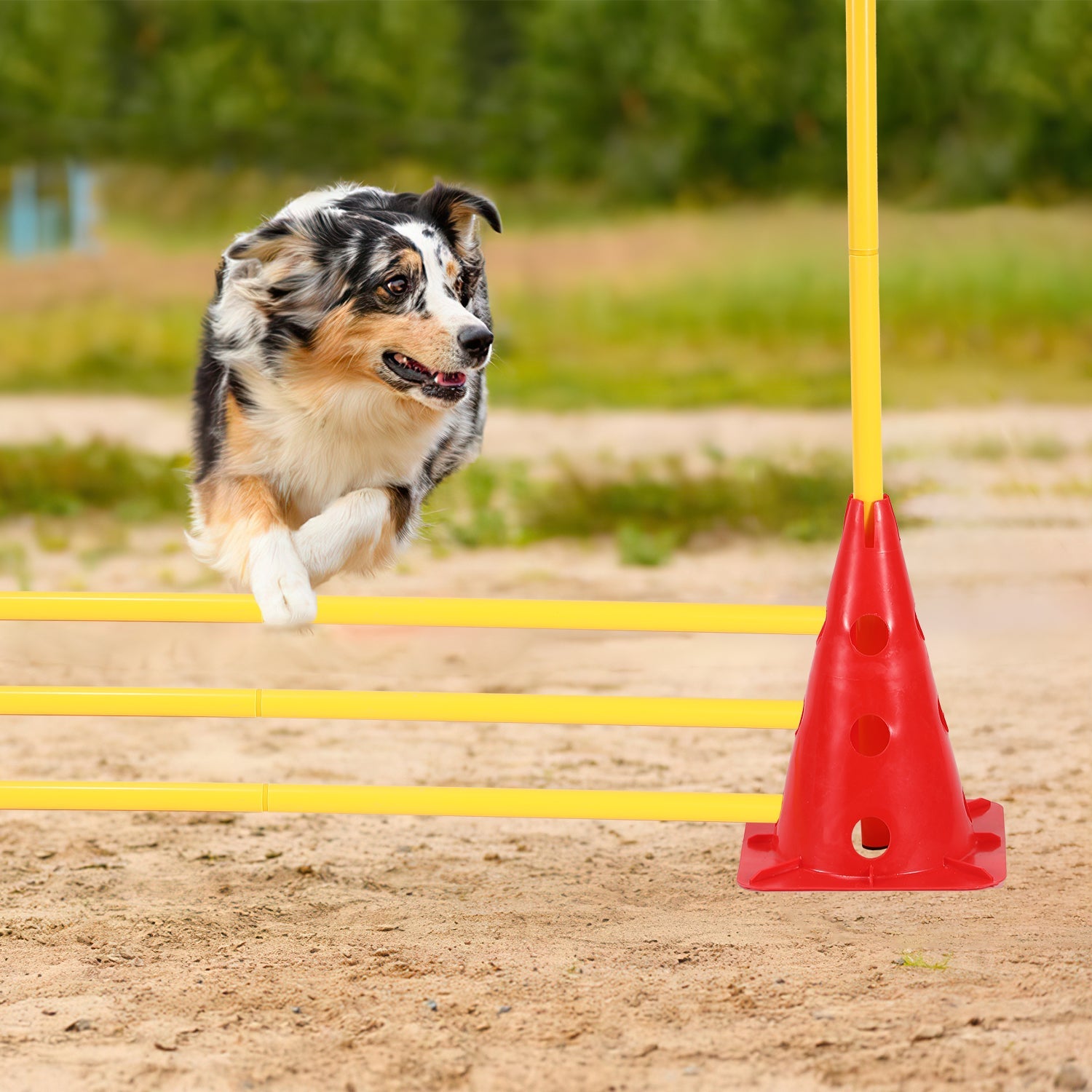 Cosmo Go 6er Steckhürdenset Agility Trainingsgerät