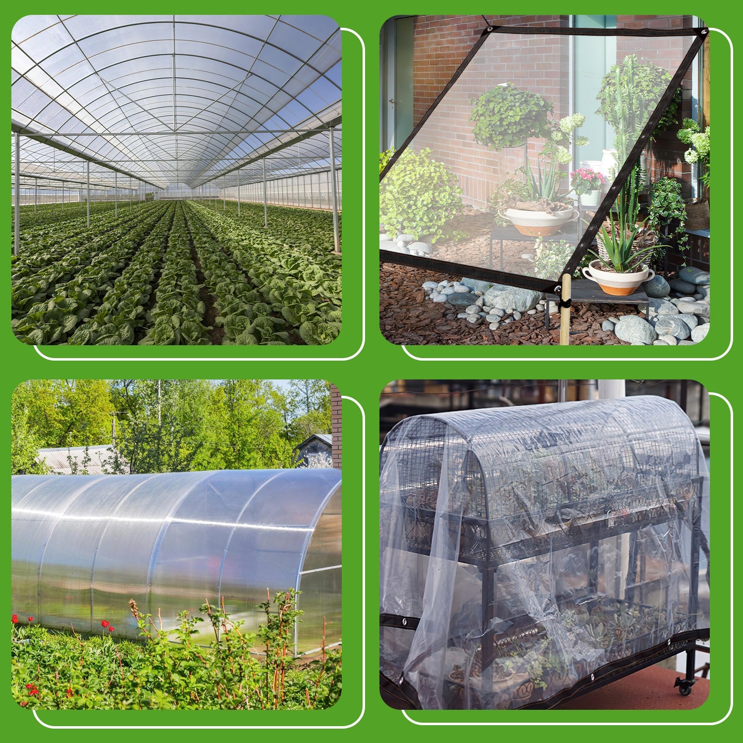 Cosmo Go Transparente Plane Wasserdichte mit ösen