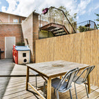 Cosmo Go Schilfrohrmatte Reedmatte Sichtschutz