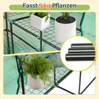 Cosmo Go Foliengewächshaus Gewächshaus mit Regalen